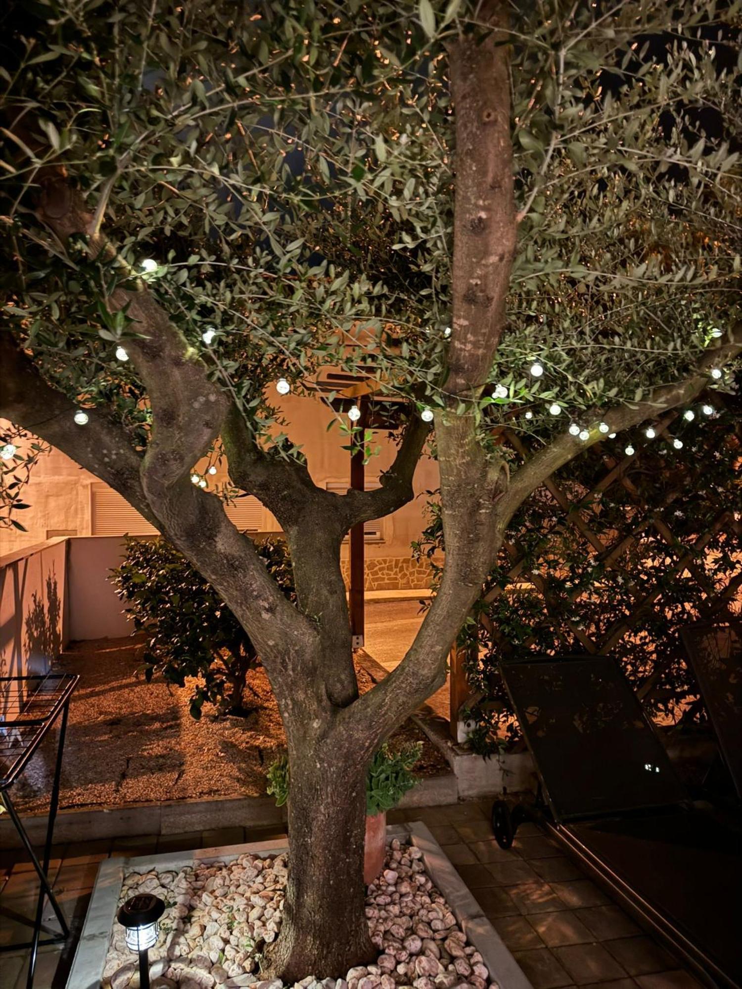 Apartments Noa 乌马格 外观 照片